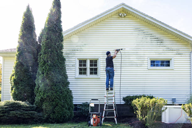 Best Rust Removal  in Harbor Bluffs, FL